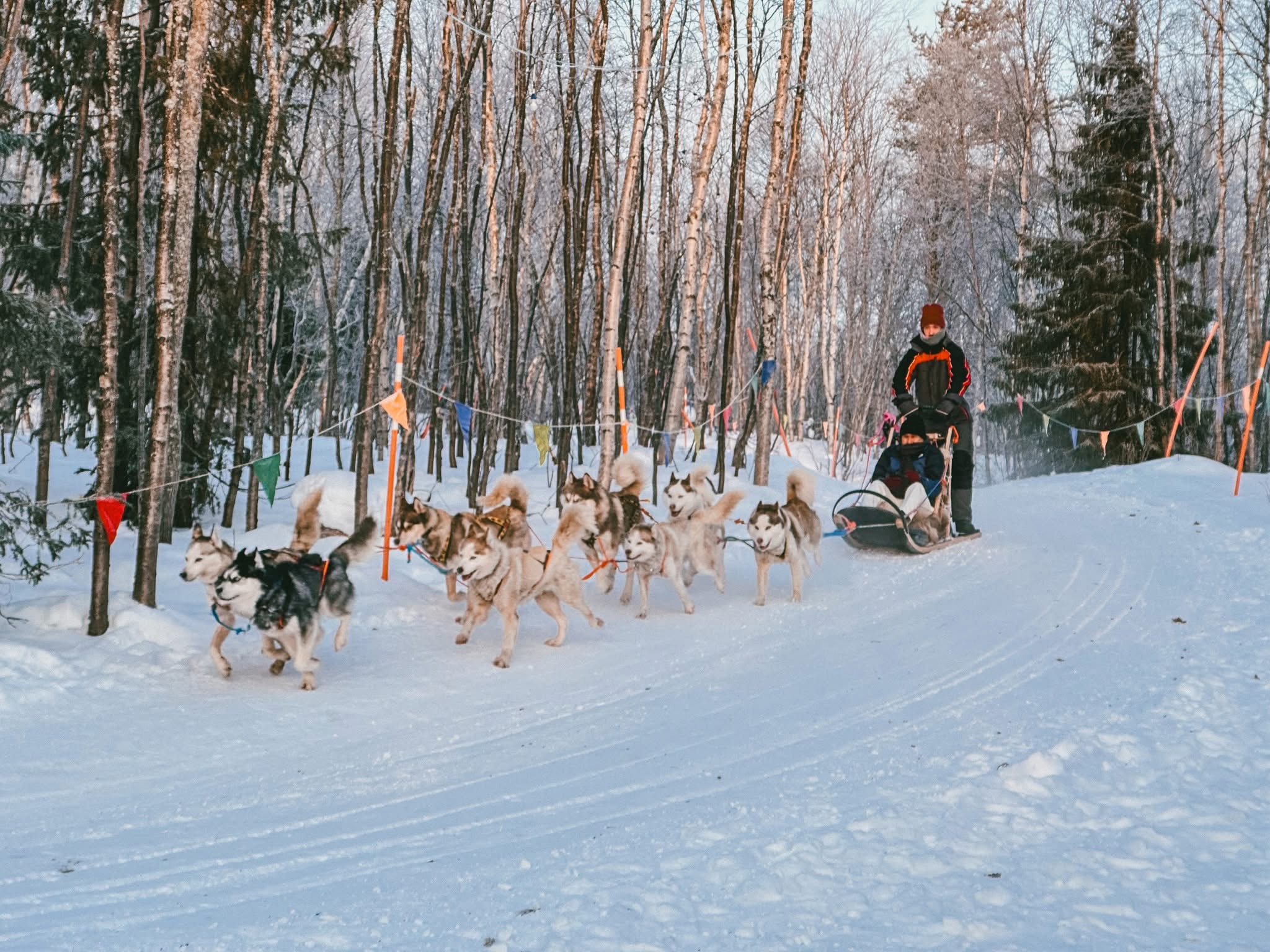 AURORA HUNTING RUSSIA 8 Days 🇷🇺
